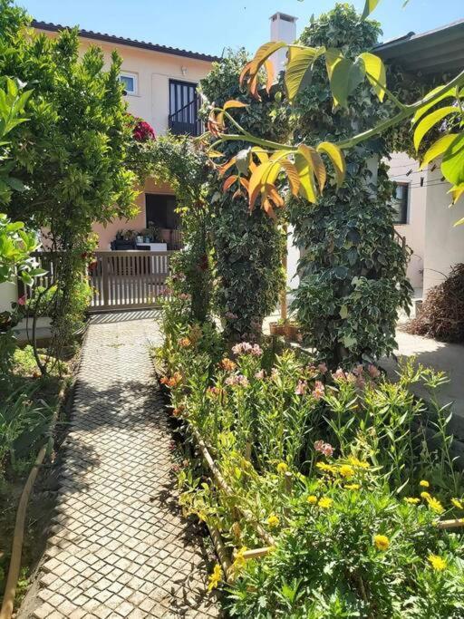 Apartmán Casa Alegria - The Orangery Tomar Exteriér fotografie